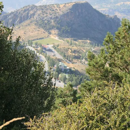 La Alacena De Jose Y Rosi *